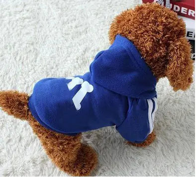 Dog Hoodies