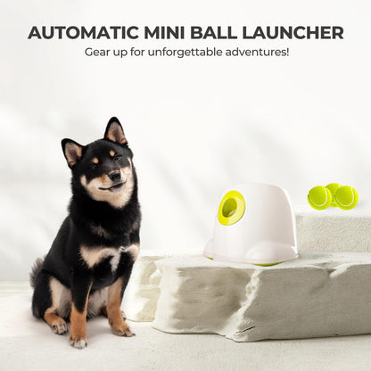 Automatic Ball Launcher