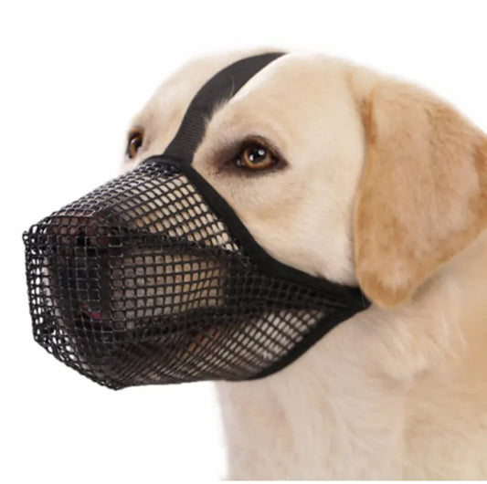 Dog Mouth Guard