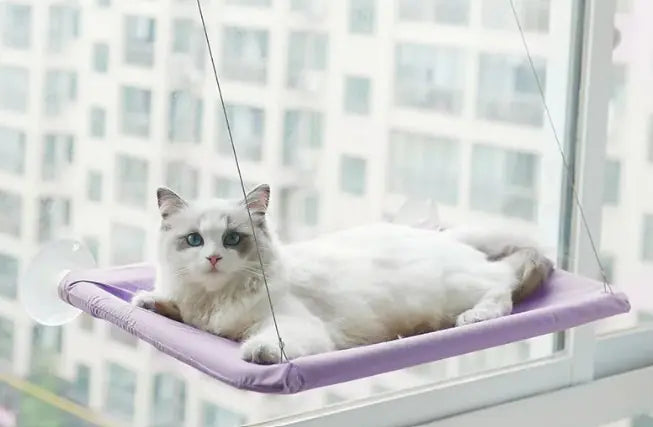 Window Hammock