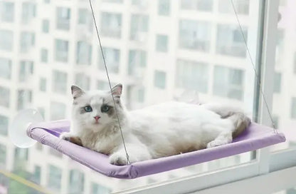 Window Hammock