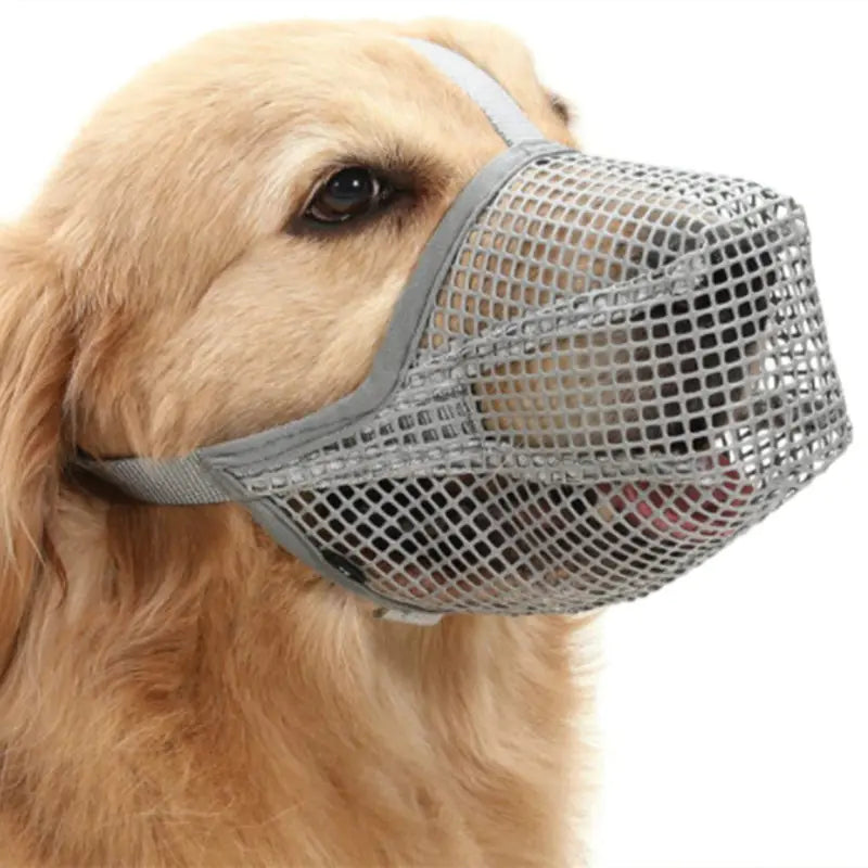 Dog Mouth Guard