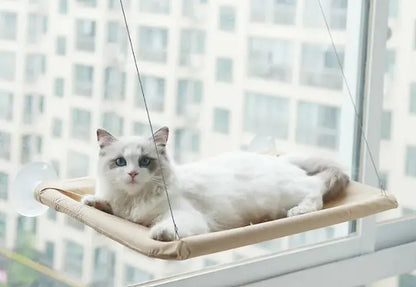 Window Hammock