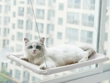 Window Hammock