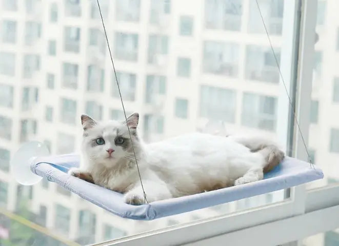 Window Hammock