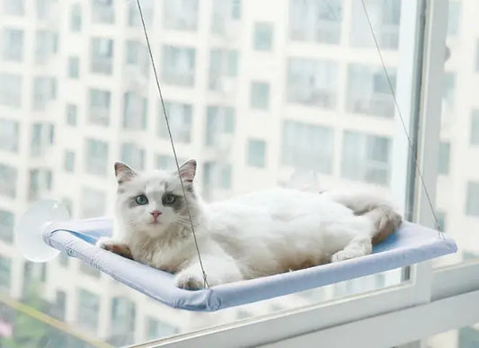 Window Hammock