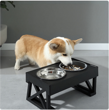 Elevated Slow-Feed Dog Bowl