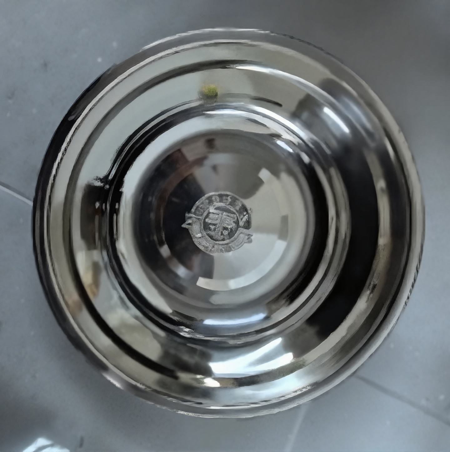 Elevated Slow-Feed Dog Bowl