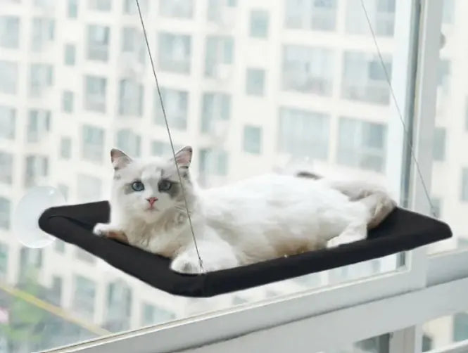 Window Hammock