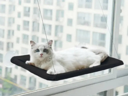 Window Hammock